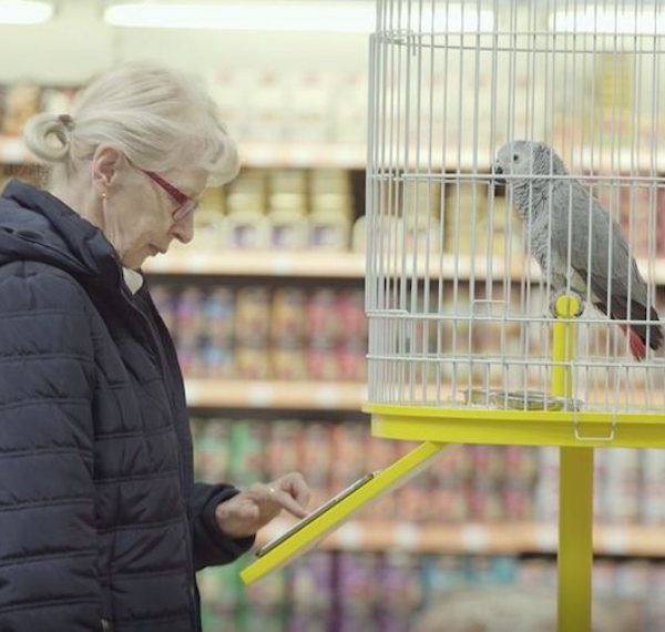 Woman using app in front of parrot in cage