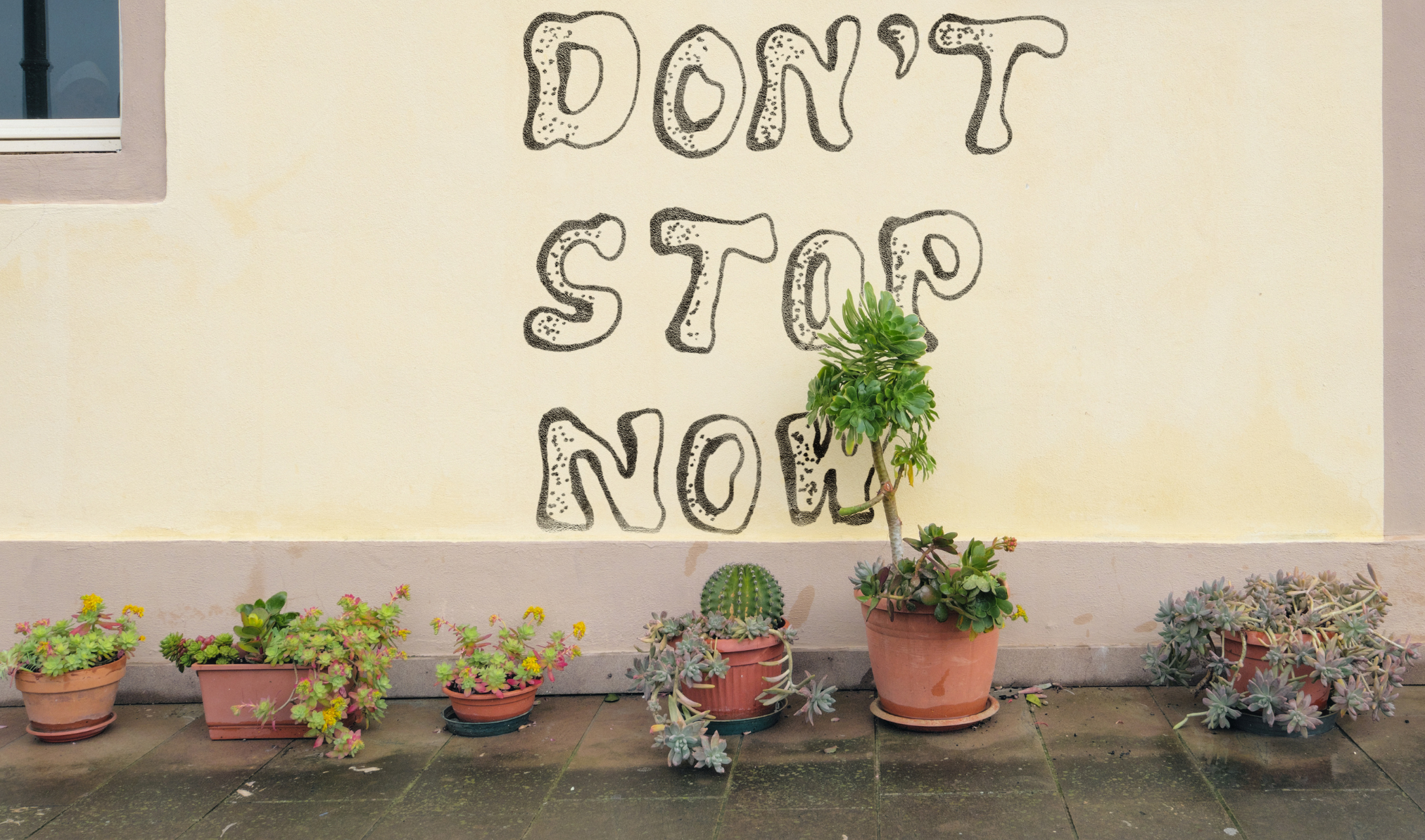 don't stop now