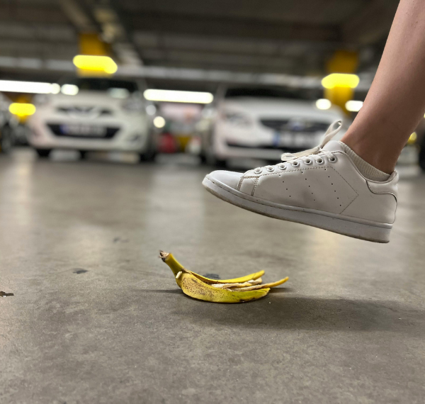 shoe