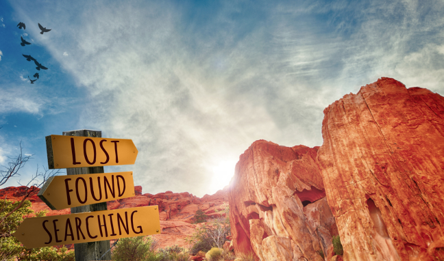lost found searching